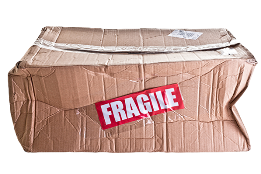 Packaging Testing Services