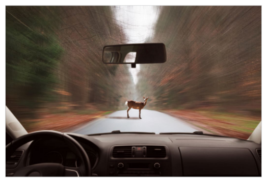 2001 SPECIFIED CALIBRATION INTERVALS