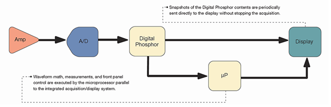 Digital phosphor oscilloscope architecture